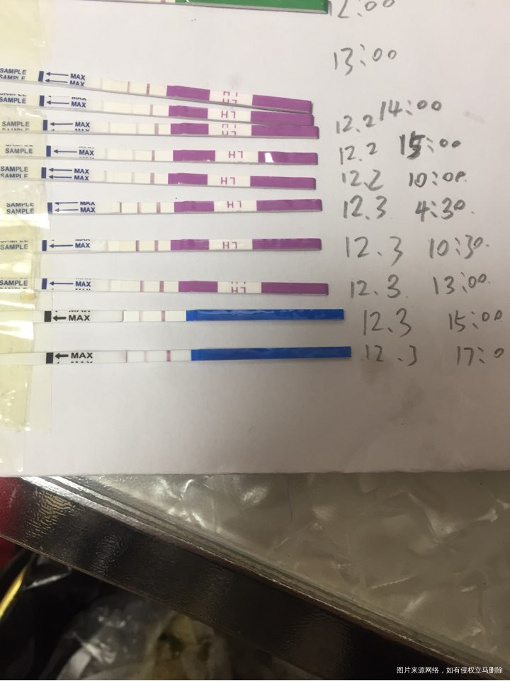 这是排了嘛!晚上可以同房了嘛?