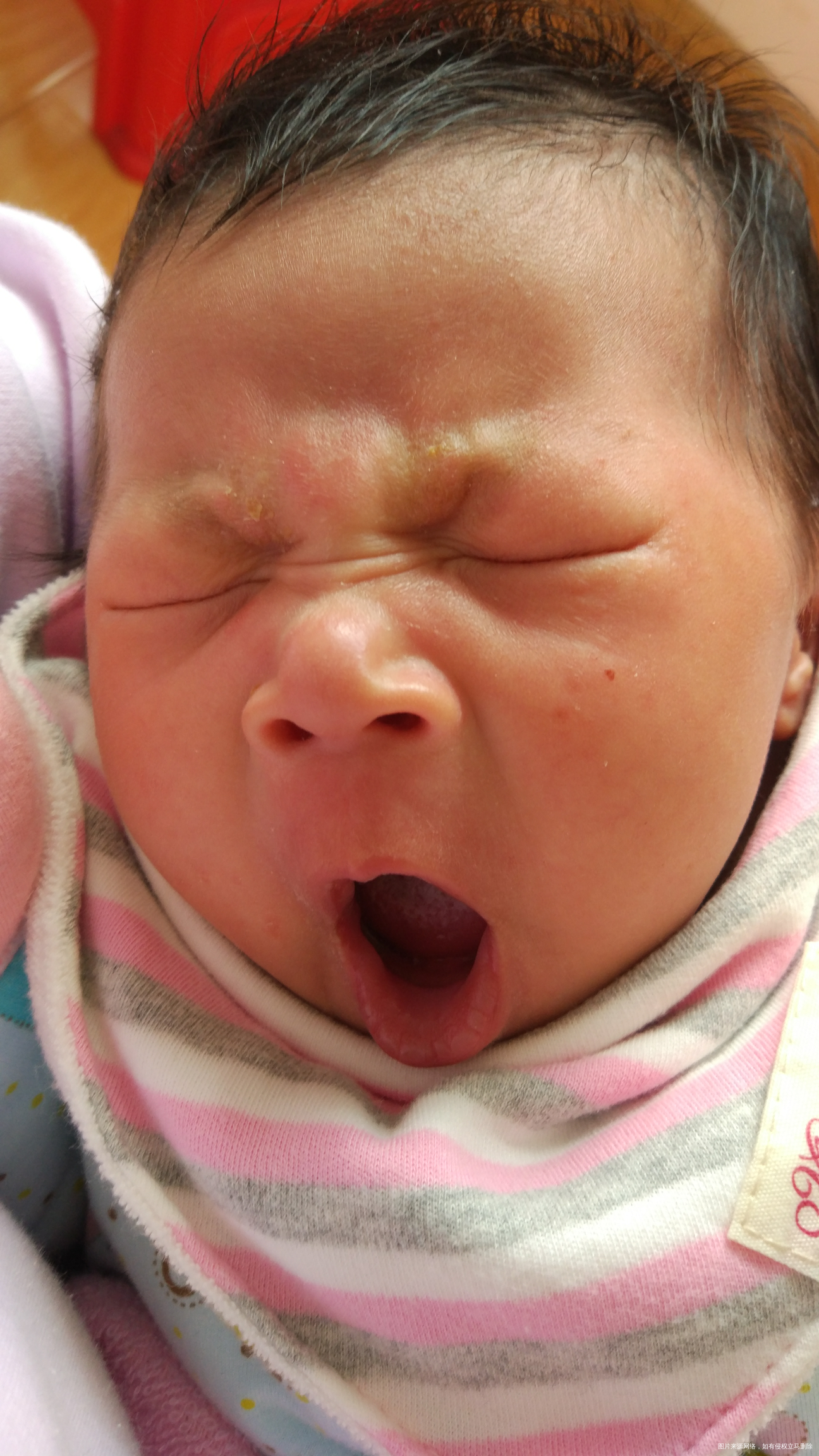 坏小子,你快快长大吧,妈妈都熬死了,你吃奶还不老实,明明想吃,每次吃进去,老实没...