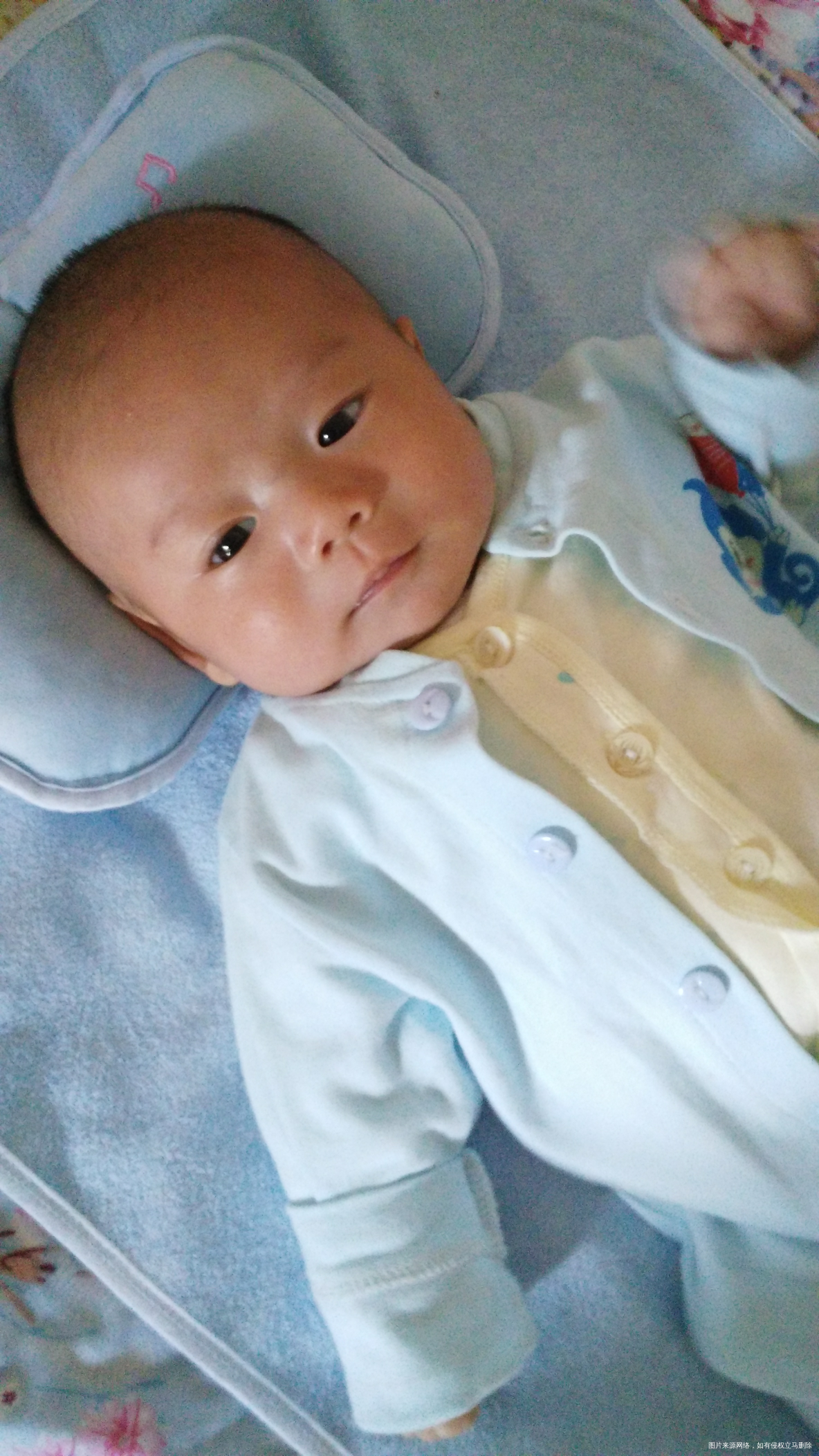 【备孕圈七月活动】找准排卵日