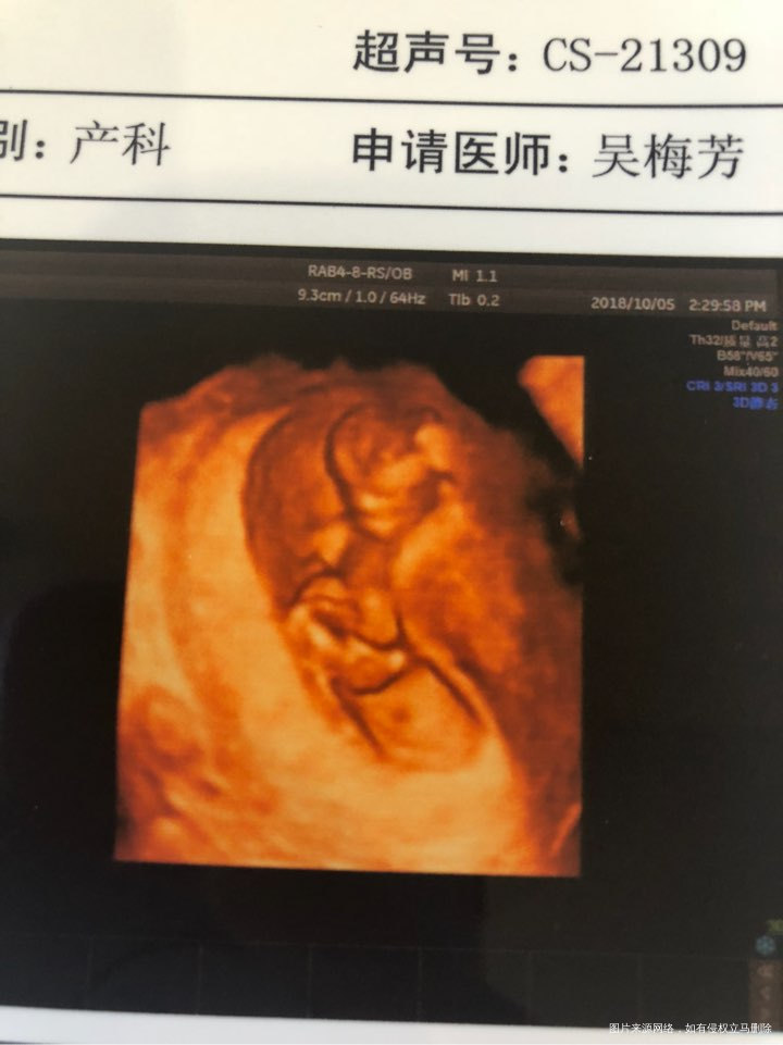 
嘿嘿 抓怕到你坐着了