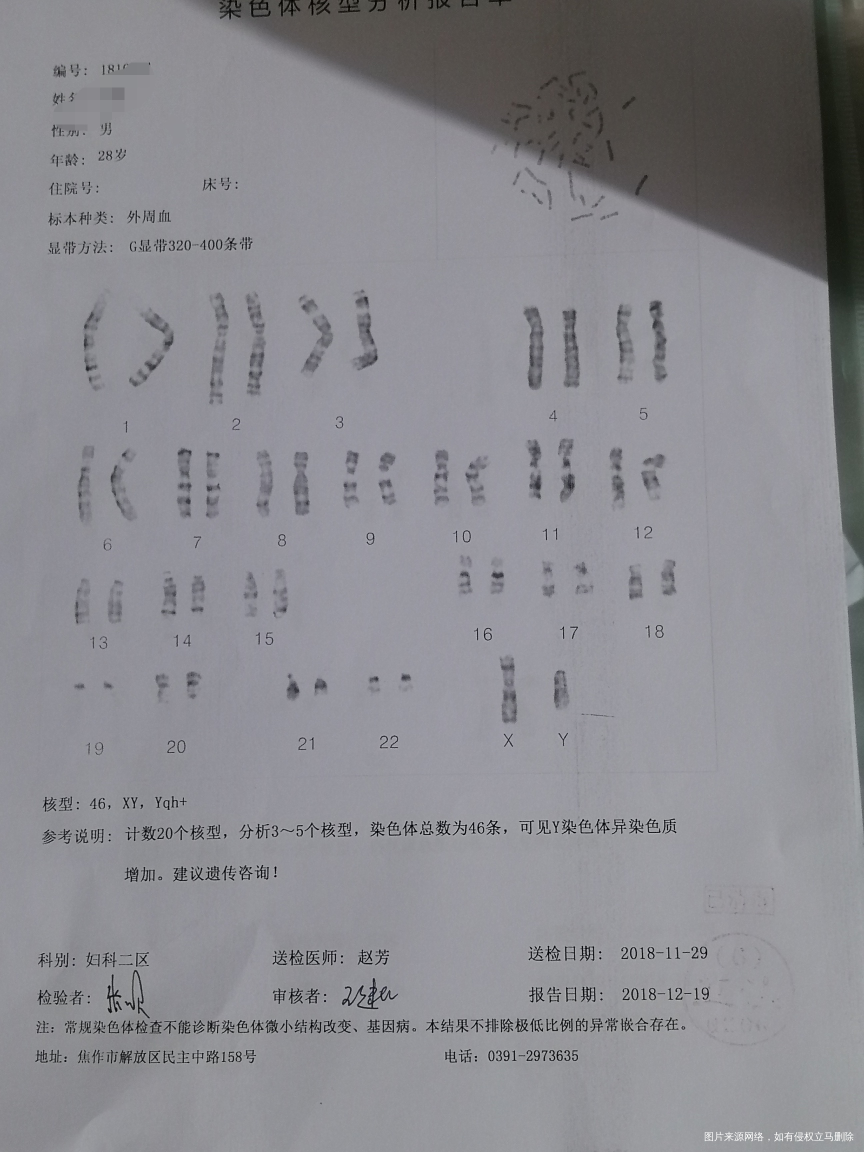 你好,这个染色体可以直接备孕吗?