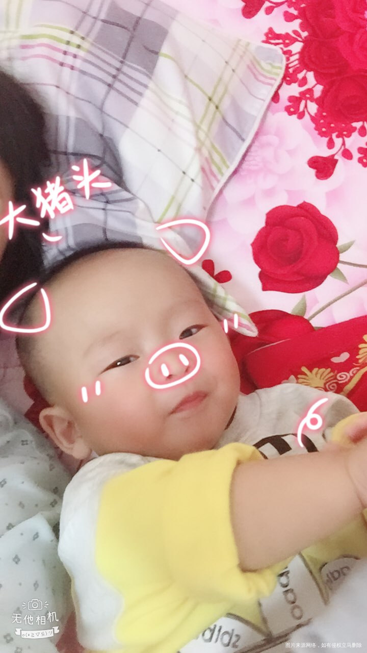 #追宝路#二胎原来在我的人生字典里是没有的