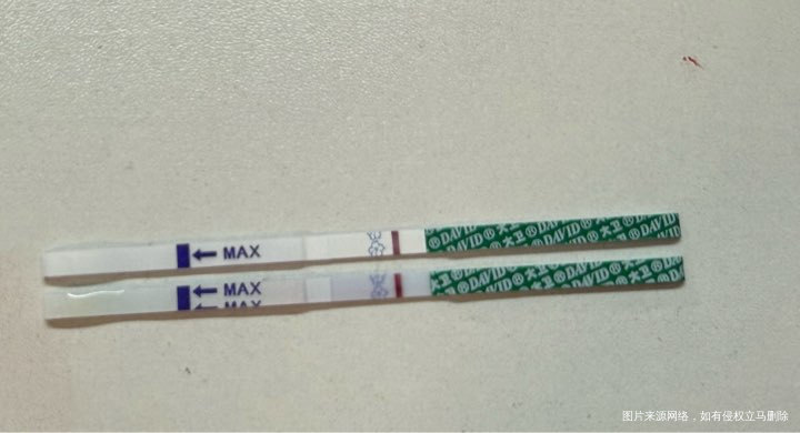 备孕的那些事………………