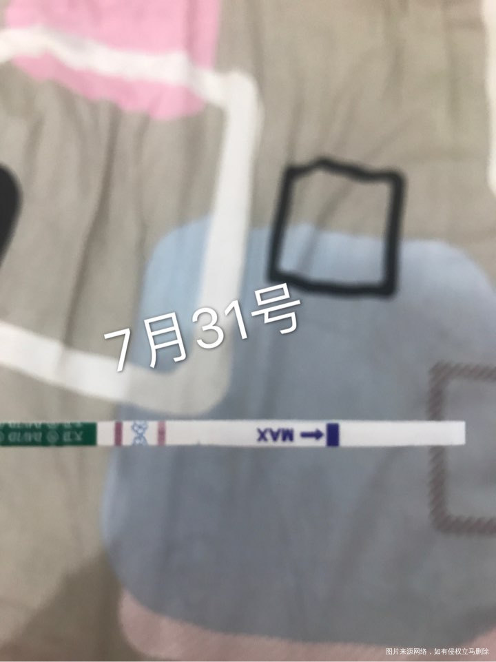 这是我这段时间以来检查的报告,请帮我分析一下谢谢。