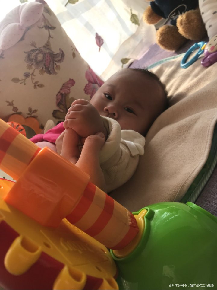 一年前的今天我刚知道糖豆的存在,那种惊喜、幸福无法言表!一年后的今天,他陪在我的...