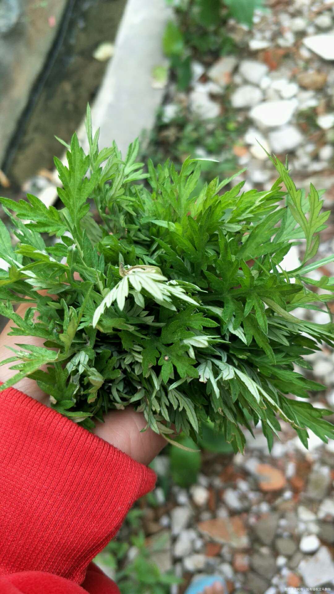 怎么做人好难做。这个不行。那个不行