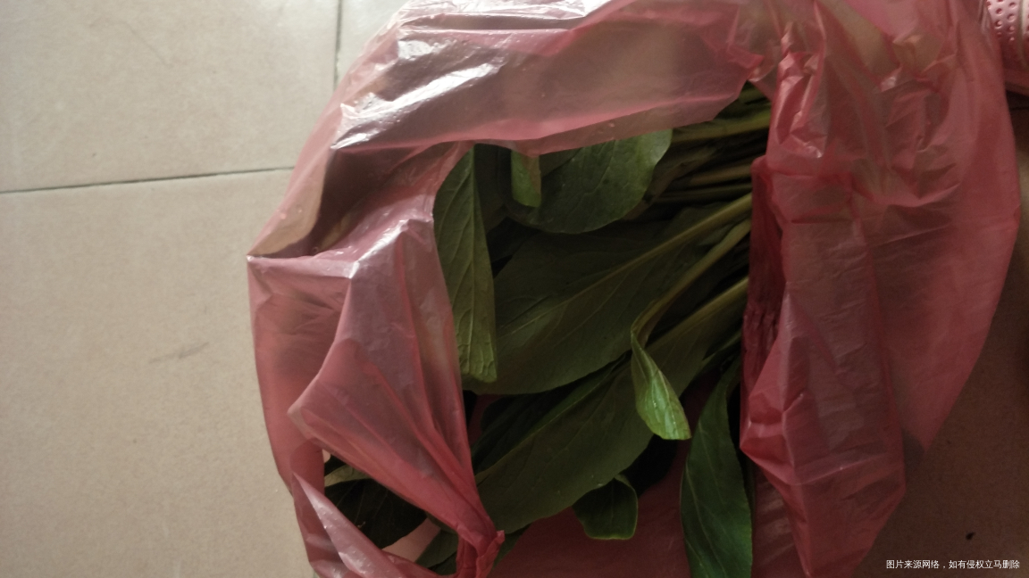 今天节日。可惜不能回去过节。今天买了点菜