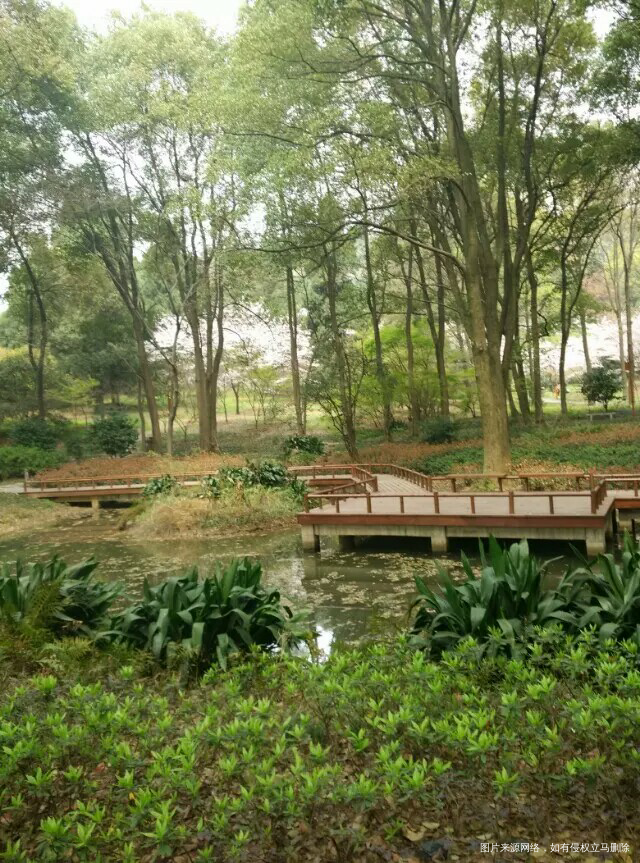 #我的家乡美景#+美丽江城(武汉)欢迎你