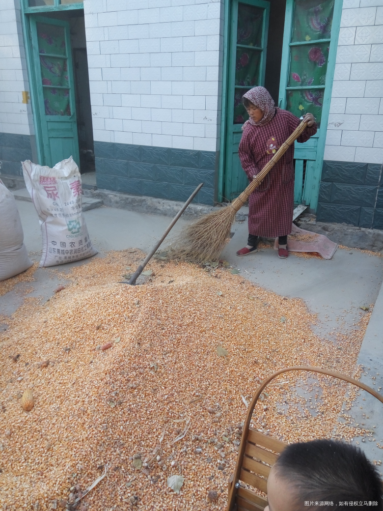 跟婆婆干了一天活,累并幸福着!