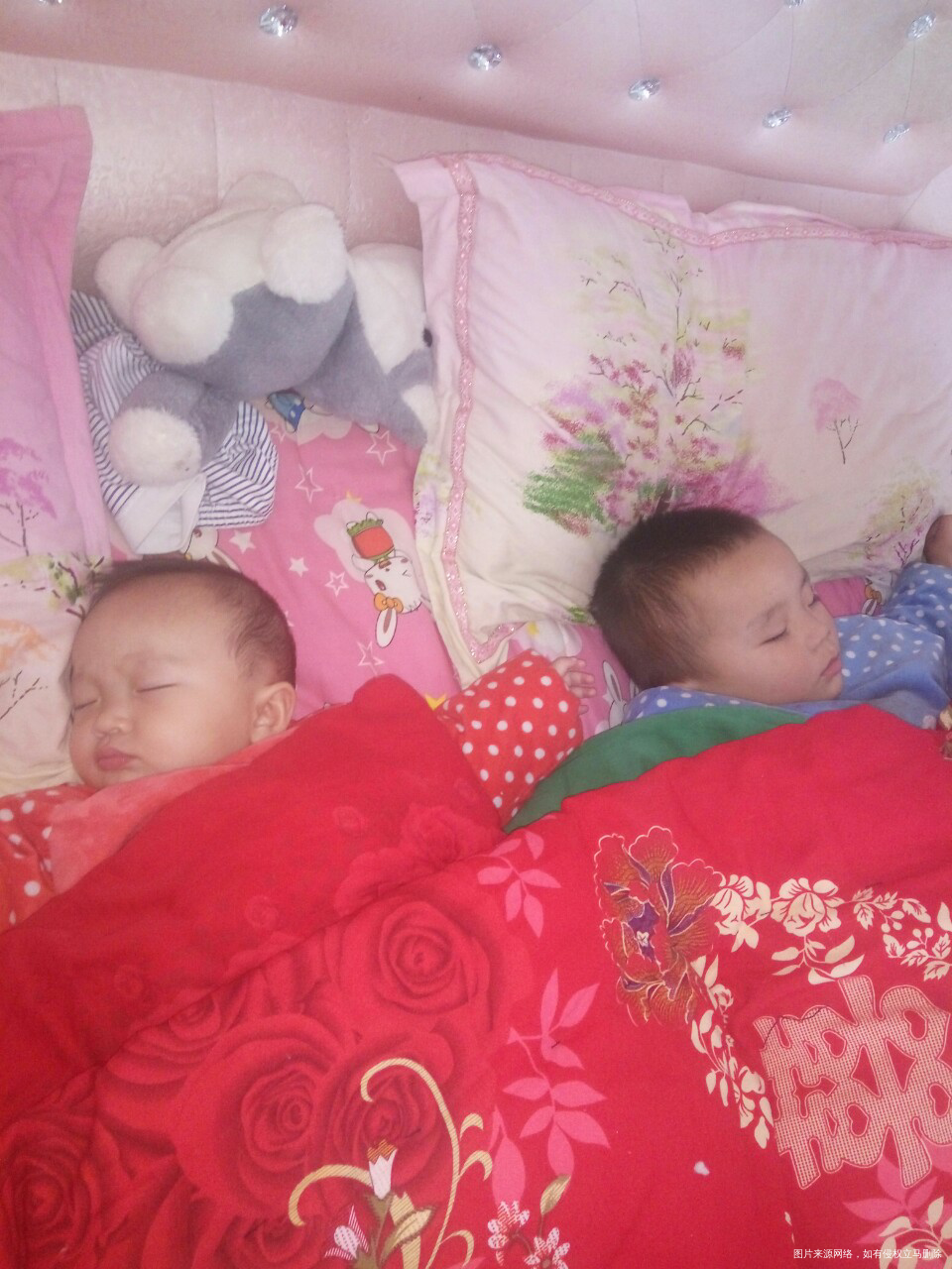 来猜猜两个宝贝一样大吗?