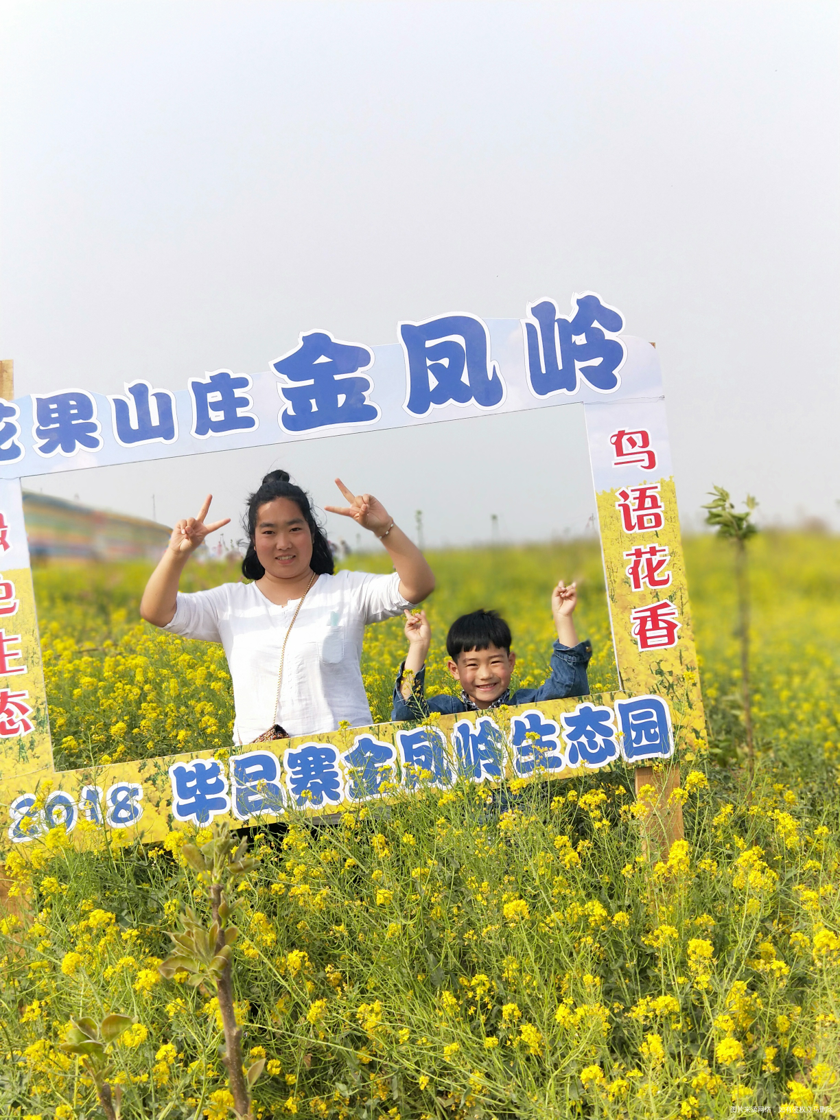 人总要经历生离死别的痛