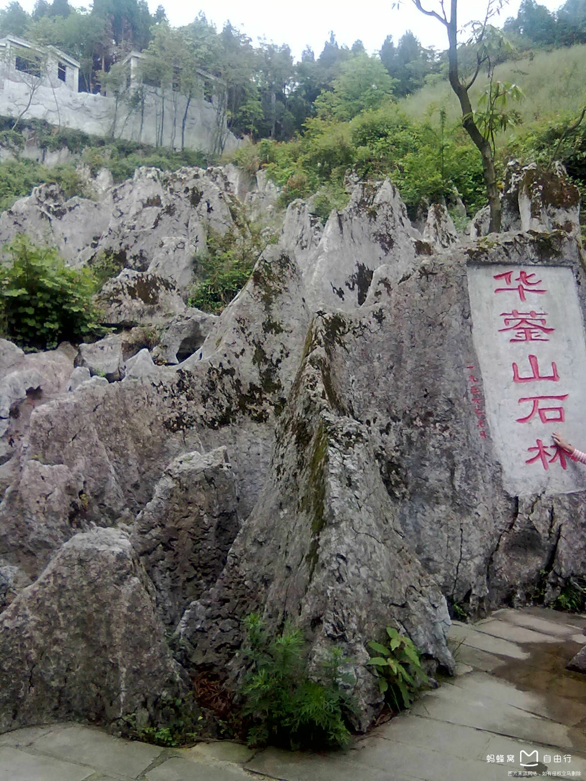 #我的家乡美景#致富小平在广安