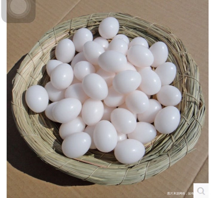 孕妇几个月开始可以吃鸽子蛋