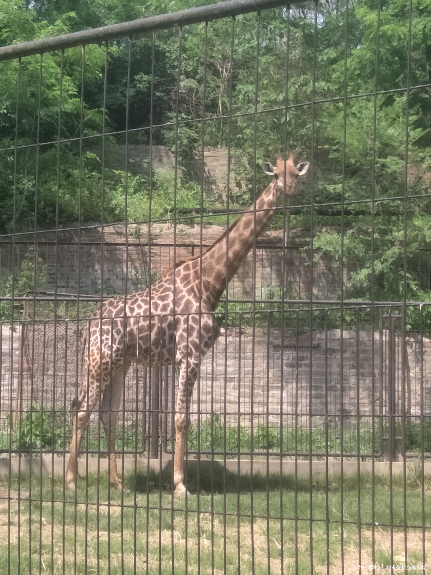 希望好姐妹们多出去放松放松心情!