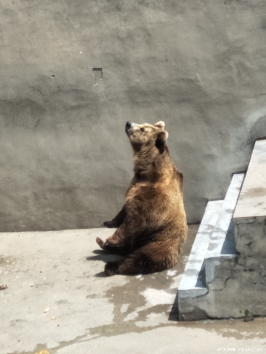 希望好姐妹们多出去放松放松心情!
