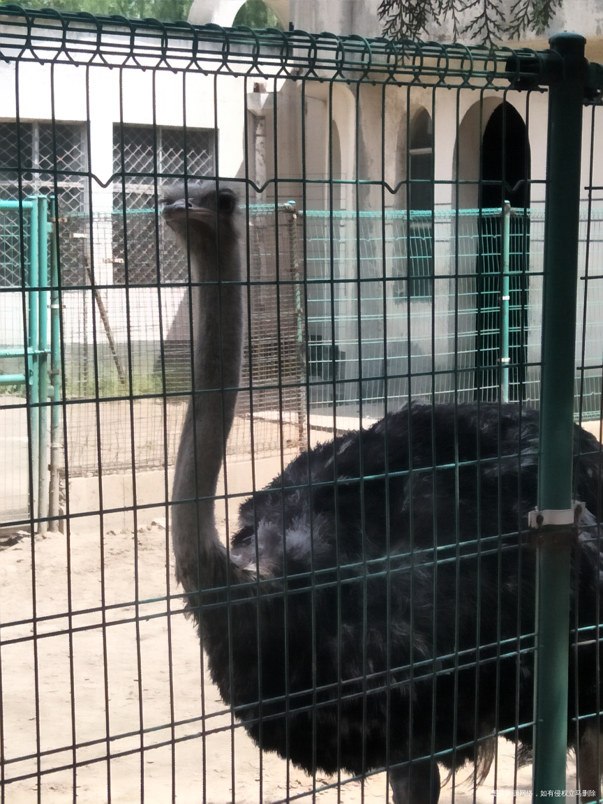 希望好姐妹们多出去放松放松心情!