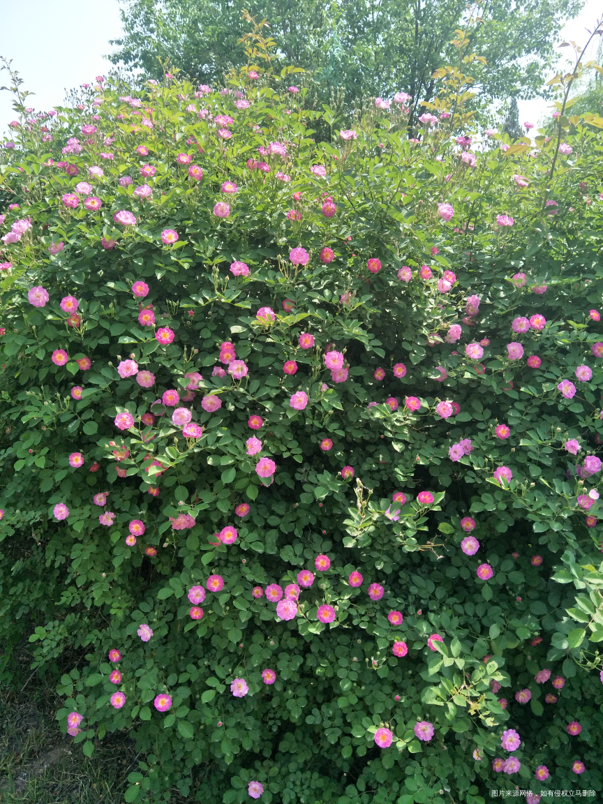 希望好姐妹们多出去放松放松心情!