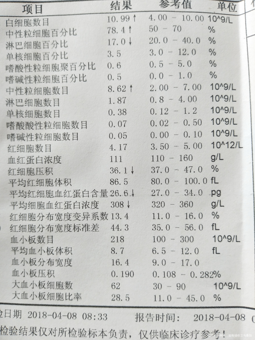 我这个是有点贫血吗?需要吃点什么呢