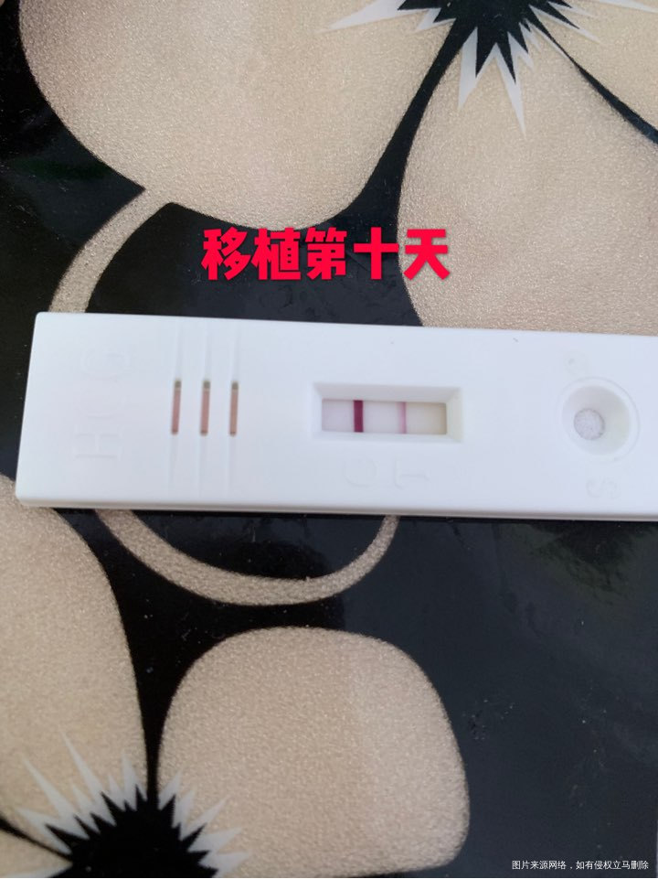 
姐妹们加油!!!我现在算成功了吧.只等官方抽血就好了吗?