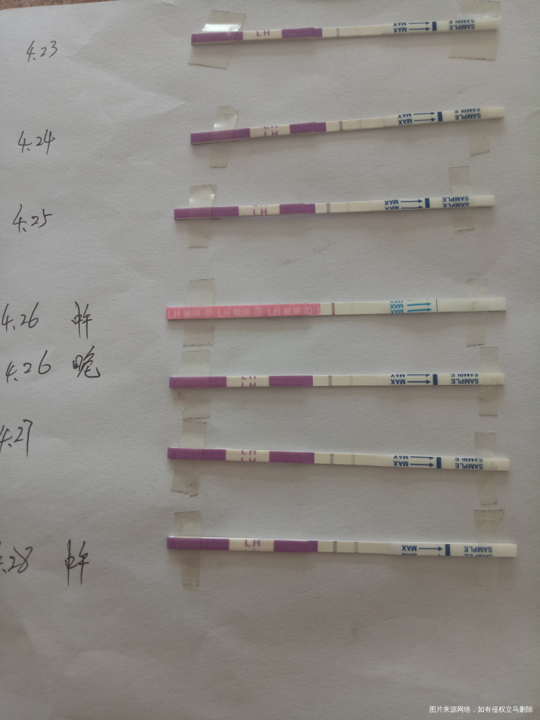 初次备孕不太懂,请姐妹们帮忙看看