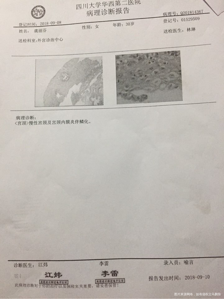 这报告可以做试管吗?急需求教