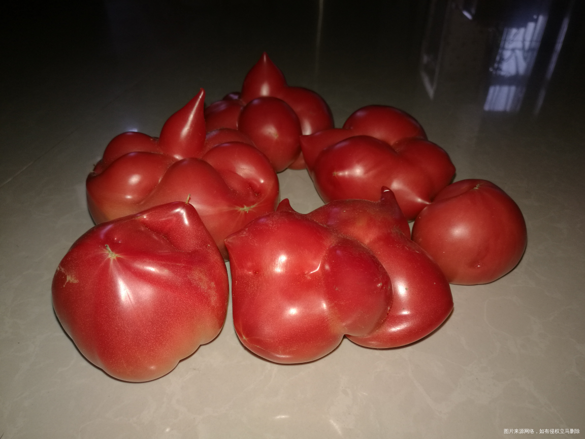 帮我看看这种西红柿能吃吗?