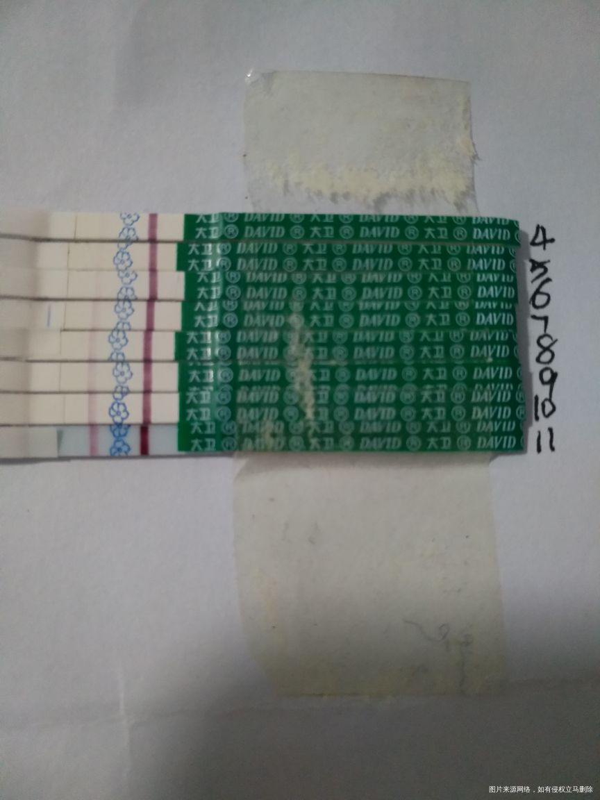 热乎乎的早孕试纸!第十一天了!!