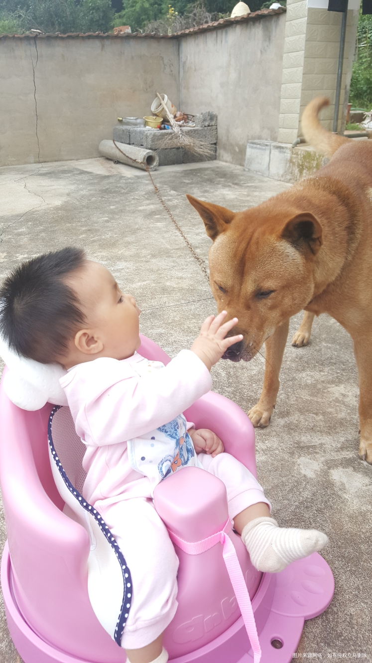 关于囤宝宝用品的一些建议