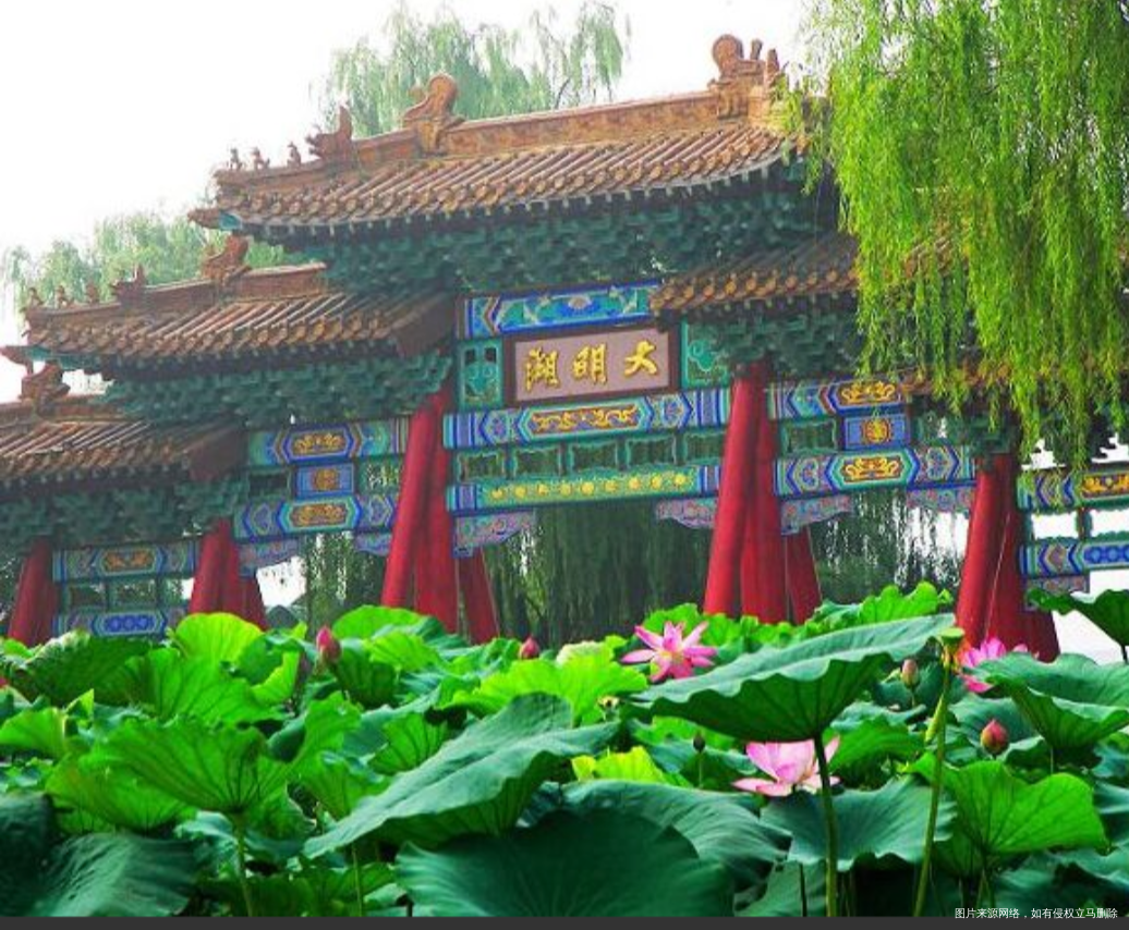 #我的家乡美景#天下泉城山东济南