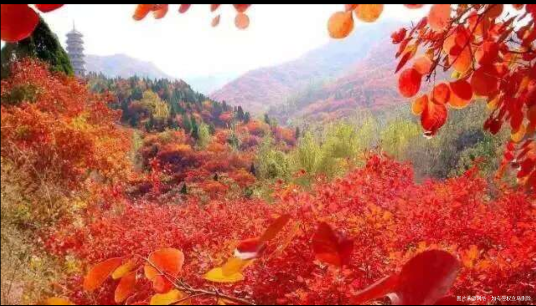 #我的家乡美景#天下泉城山东济南