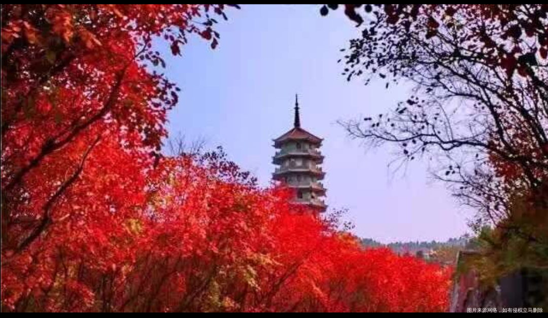 #我的家乡美景#天下泉城山东济南