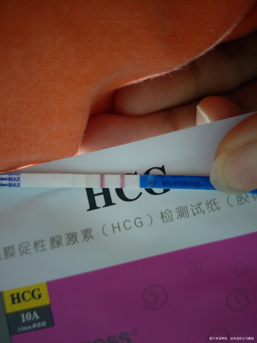 移植囊胚11天,不知明天血值怎么样