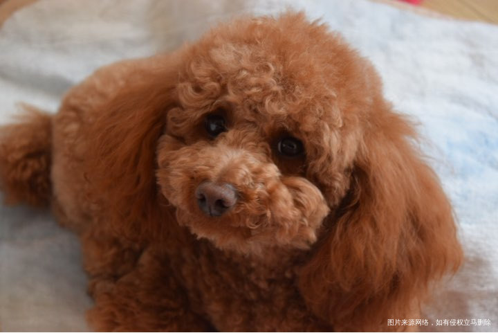 冻胚第六天,我就来记录一下