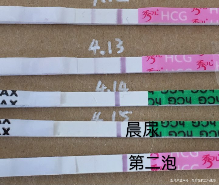 十一天了,要疯的节奏啊