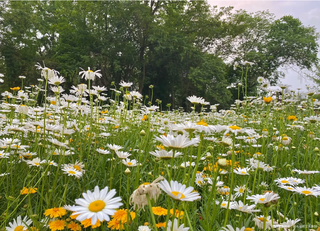 生活中的会遇到一些琐事