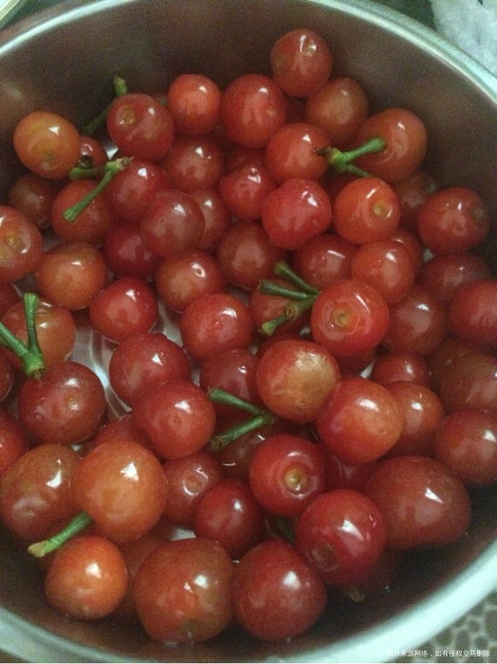 喜欢吃樱桃🍒,一个人吃一斤没问题