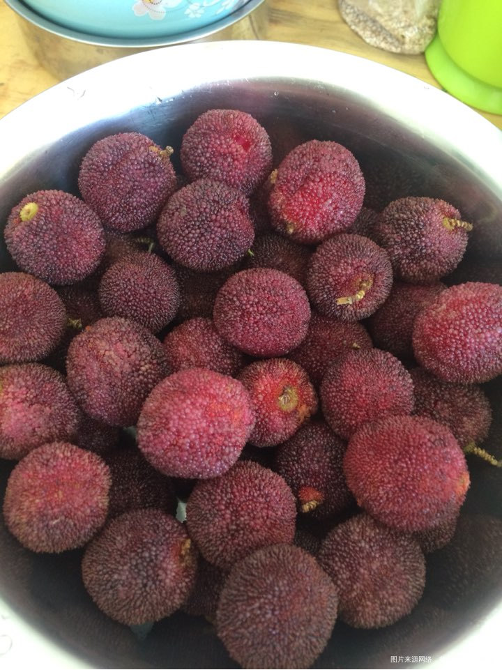 吃杨梅了,我一人一口气吃一斤