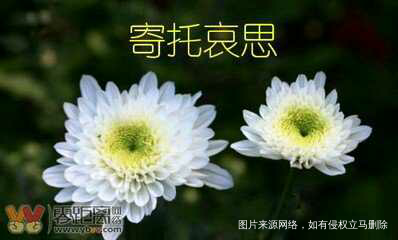 【中元节】寄往天堂的信-致我的妈妈