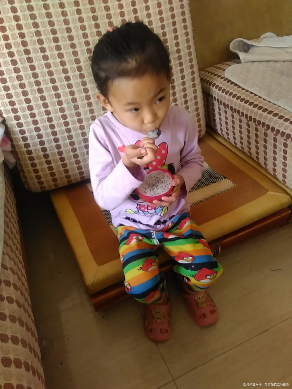 终于来电了,刚刚回来吃火龙果