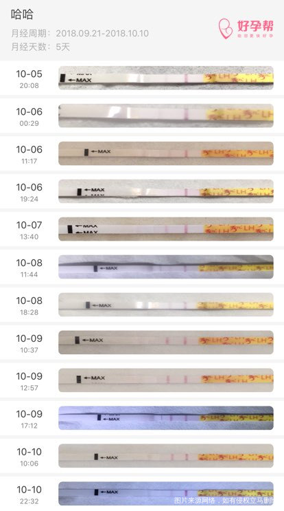 这是什么情况,谁能告诉我