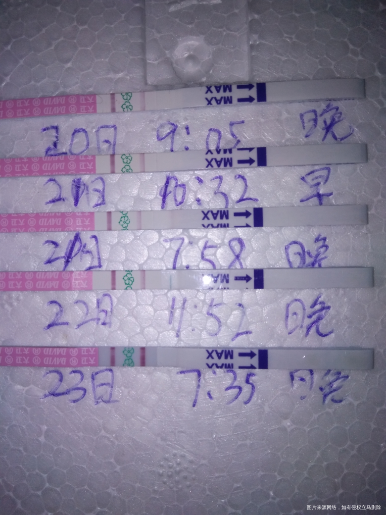 宝妈们,这么红什么时候安排合适?