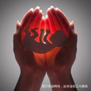 单身男女也可通过试管生育自己的孩子