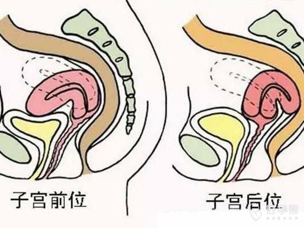 动漫卡通载荷v载荷矢量矢量图漫画头像600_450怎么绘制计算工图最大最小素材线图片