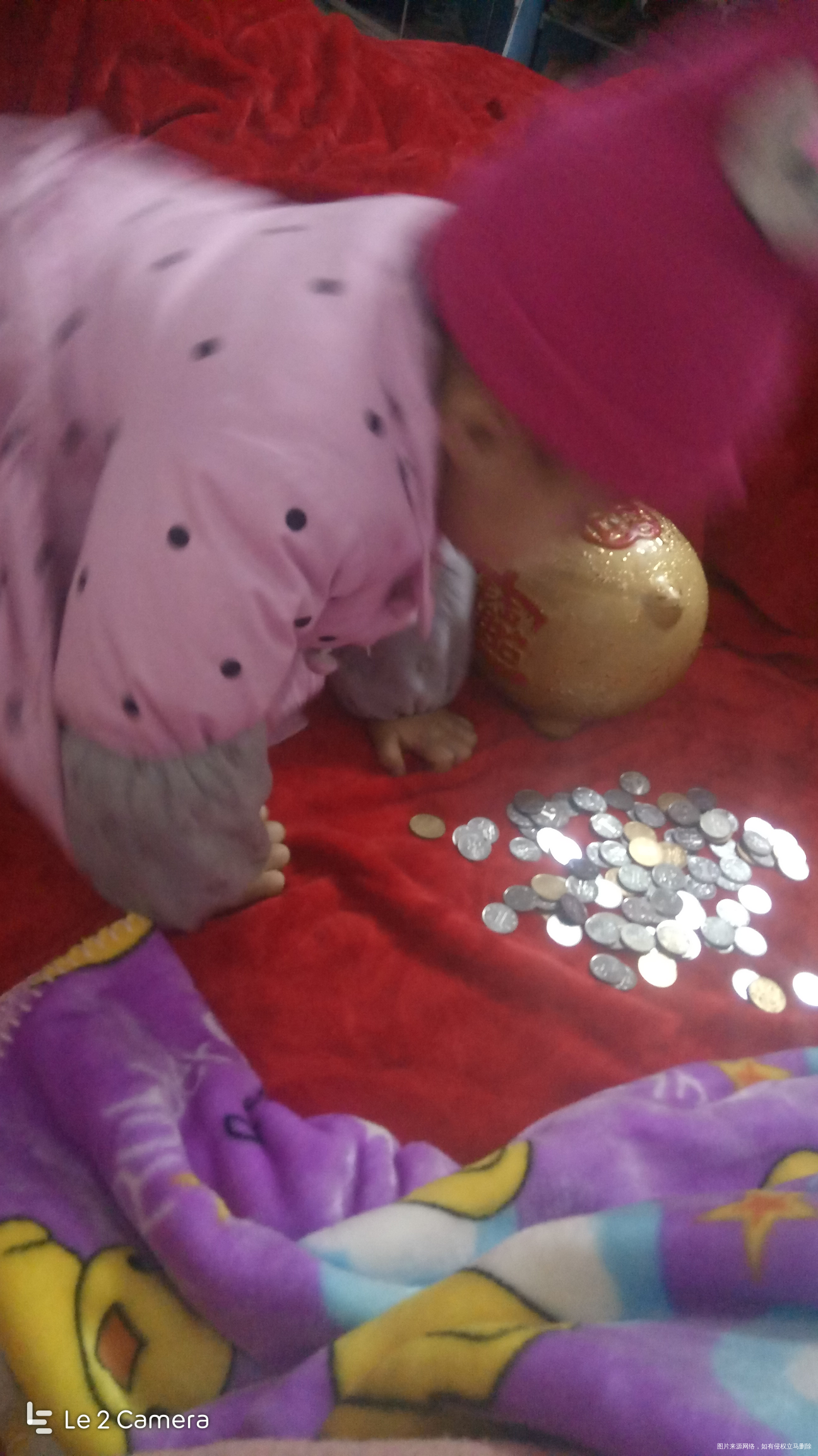 这两天老是要我拿这个猪给她玩!小财迷!
