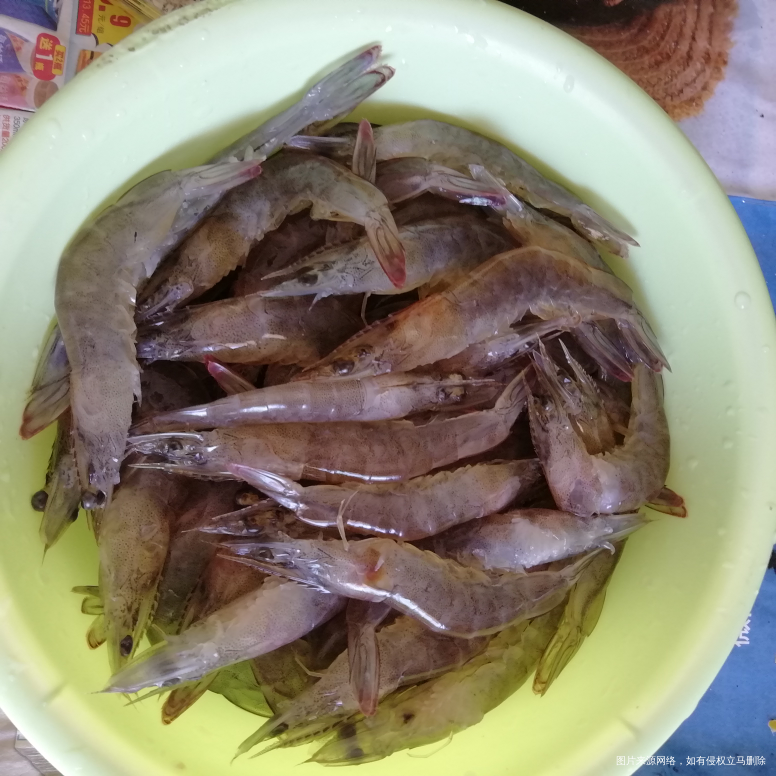 今天的虾23一斤,也好大一只