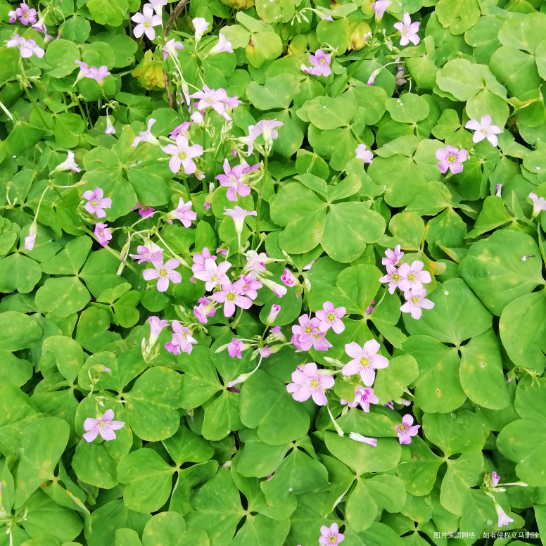 一排下来,都是刷圈的!没一个认识的