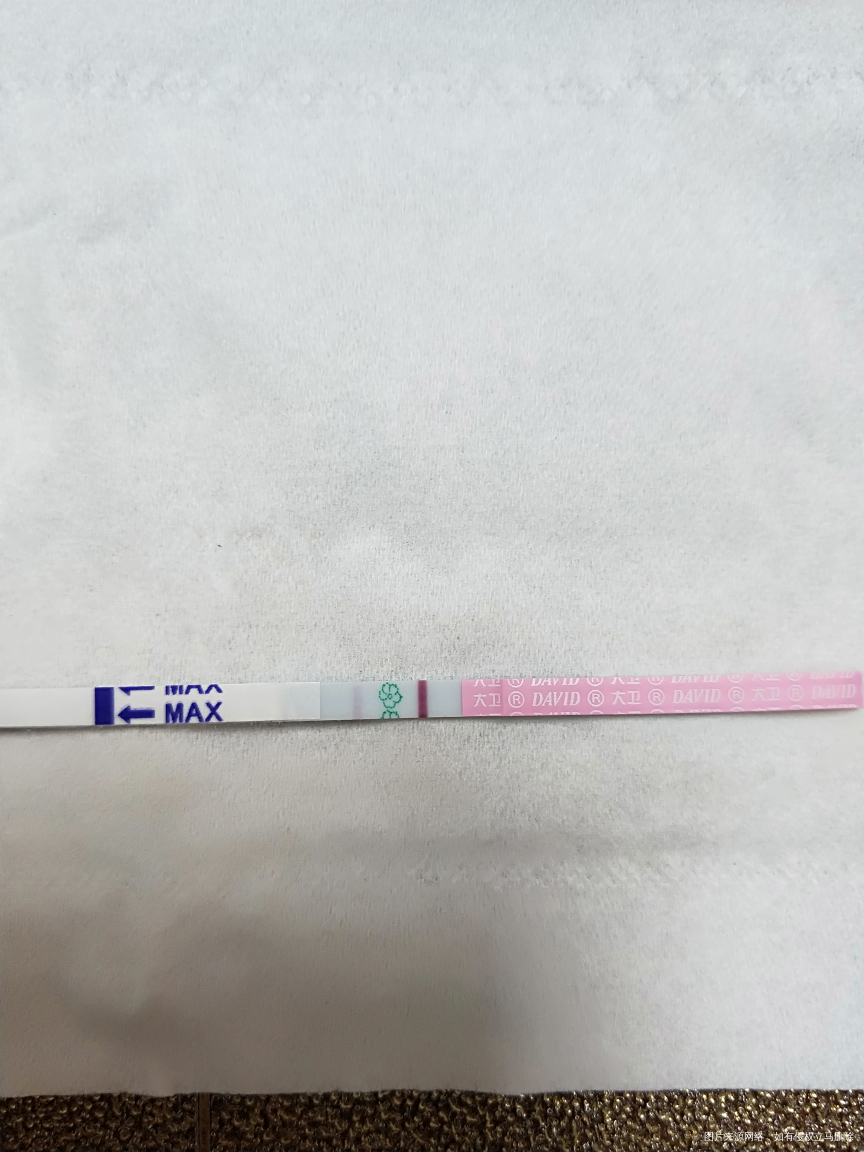 3号的排卵日,排卵试纸这样还有希望吗