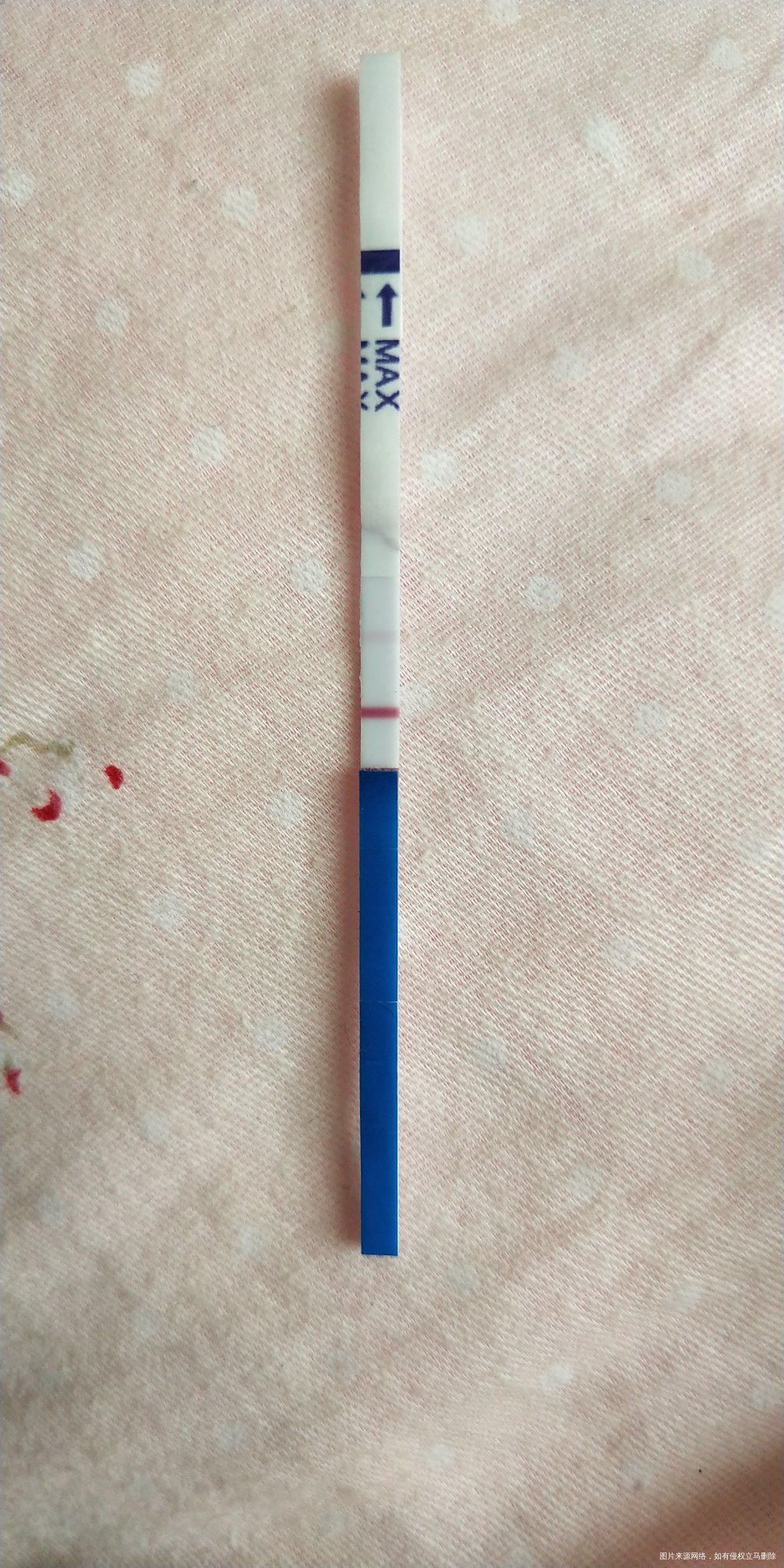 移植第十天,验出了红杠杠!