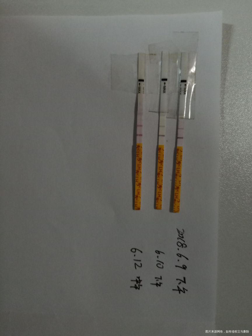 第七天测的被我丢掉了