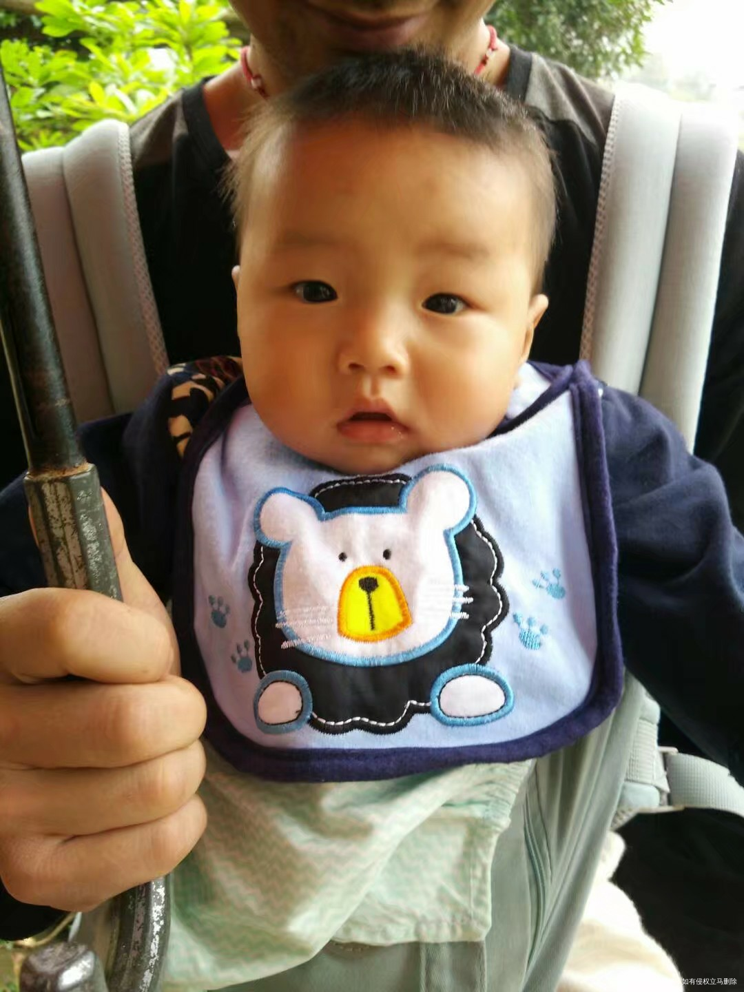 【我家宝爸带娃最有趣】+血缘连着心